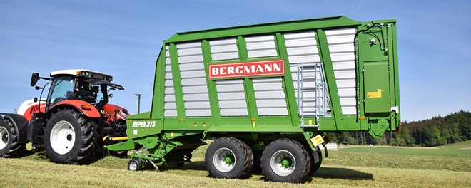 kopfbilder-BERGMANN_REPEX_31S