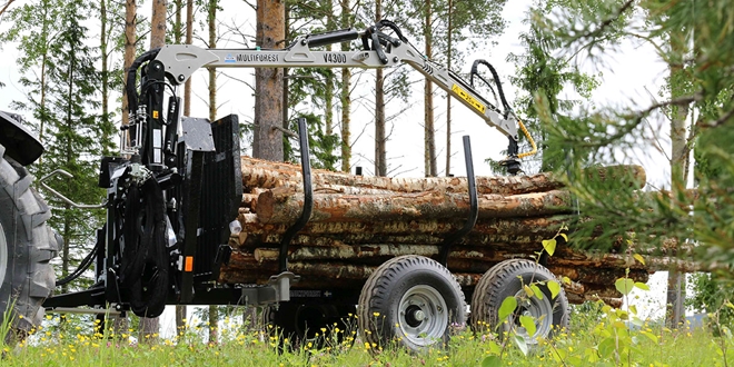 multiforest_new_edition_308-1-kopie