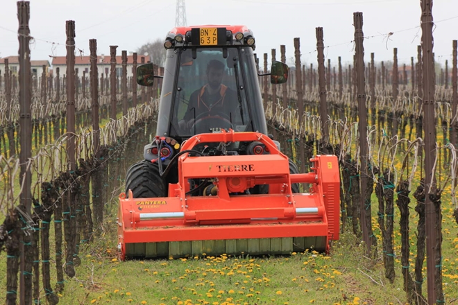 Mulcovac-tierre-Pantera