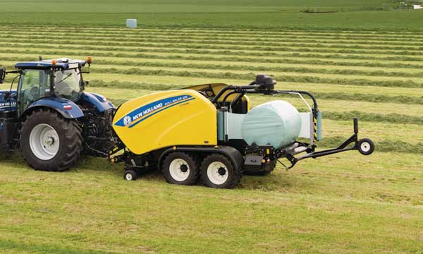 Lisy New Holland