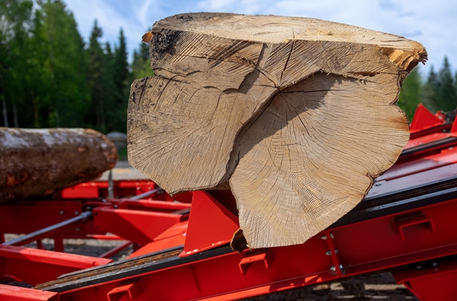 x-firewood-factory-feed-900-log-table-007.jpeg