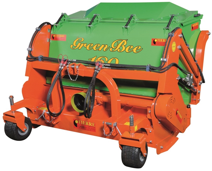 Tierre-Green-Bee.jpg