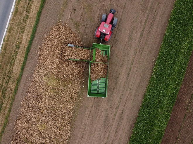 DJI_0803.jpg