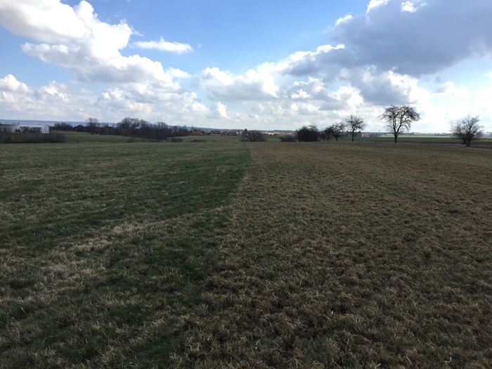 Prutove-brany-Kockerling-GRASMASTER-03.jpeg