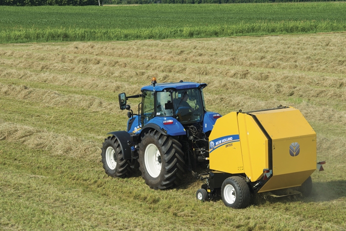 Lis_New_Holland_BR_2.jpg