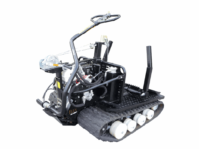 jarnhasten-flex-skog