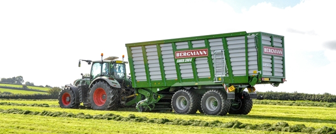 Kopfbild_BERGMANN_CAREX_390_K